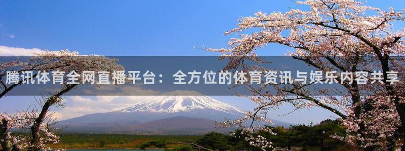 腾讯体育全网直播平台：全方位的体育资讯与娱乐内容共享