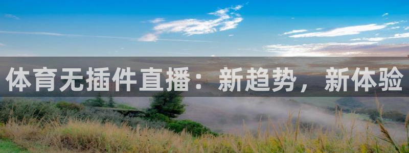 体育无插件直播：新趋势，新体验