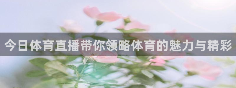 今日体育直播带你领略体育的魅力与精彩