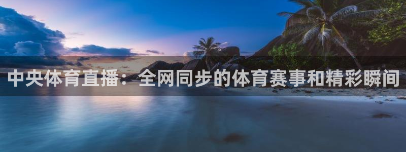 中央体育直播：全网同步的体育赛事和精彩瞬间