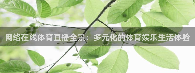 网络在线体育直播全景：多元化的体育娱乐生活体验