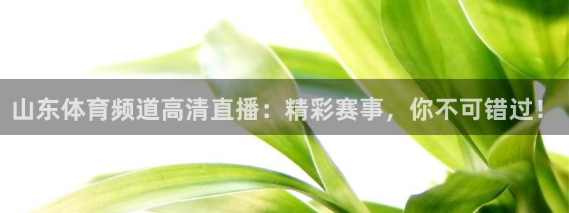 山东体育频道高清直播：精彩赛事，你不可错过！