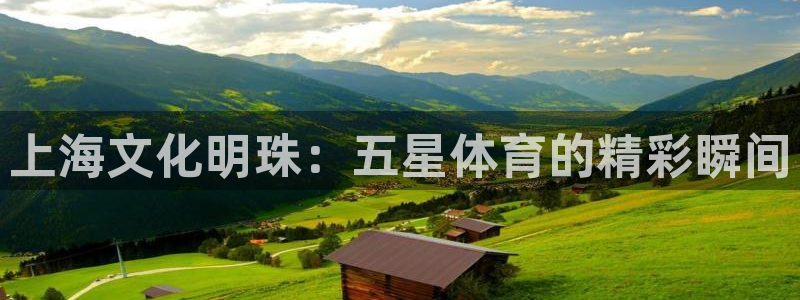 上海文化明珠：五星体育的精彩瞬间