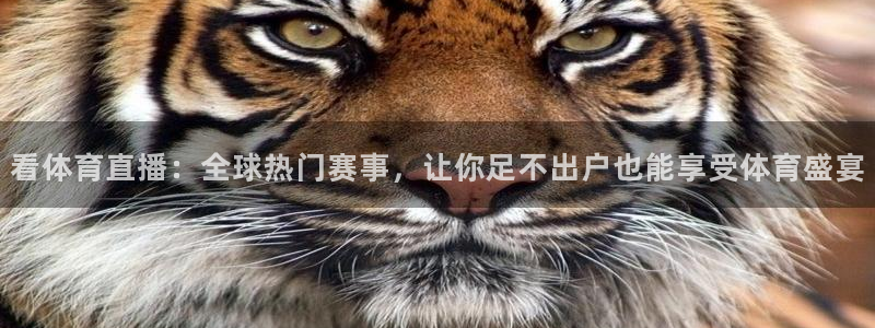 看体育直播：全球热门赛事，让你足不出户也能享受体育盛宴