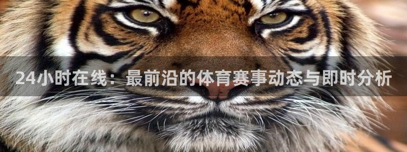 24小时在线：最前沿的体育赛事动态与即时分析