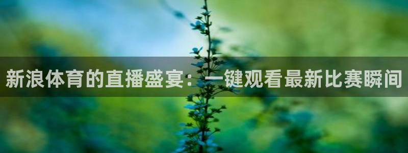 新浪体育的直播盛宴：一键观看最新比赛瞬间